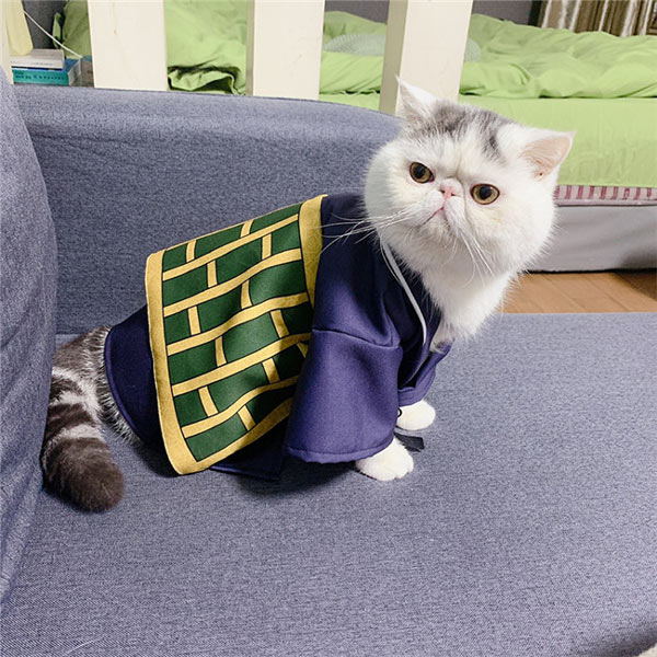 呪術廻戦 夏油傑（げとう すぐる）ペット服 ペット用品 猫用 小型犬用 かわいい ハロウィン 変装