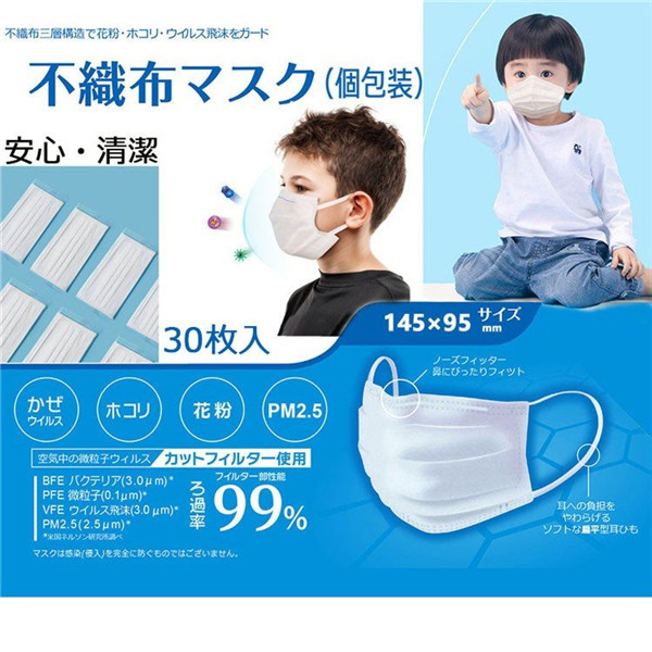 マスク 平ゴム 6mm 個包装 30枚 小さめ