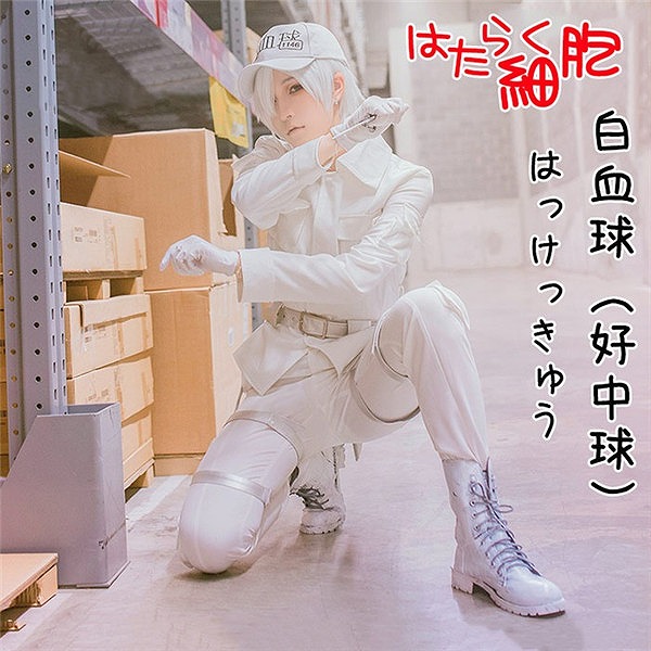 はたらく細胞 白血球